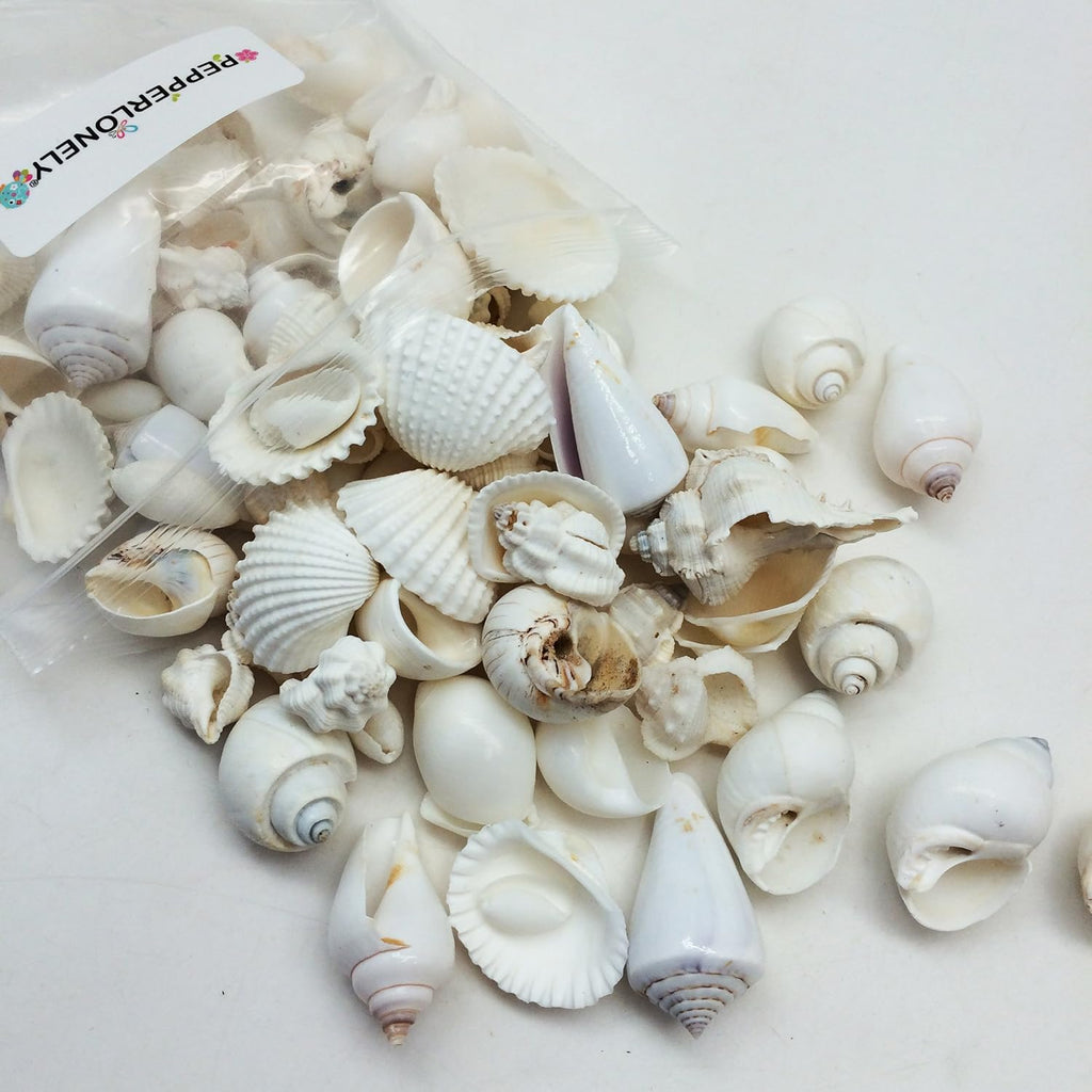 PEPPERLONELY Medium White Shell Mix Sea Shells, 10 OZ Apprx. 70+ PC Shells, 3/4 Inch ~ 1-3/4 Inch