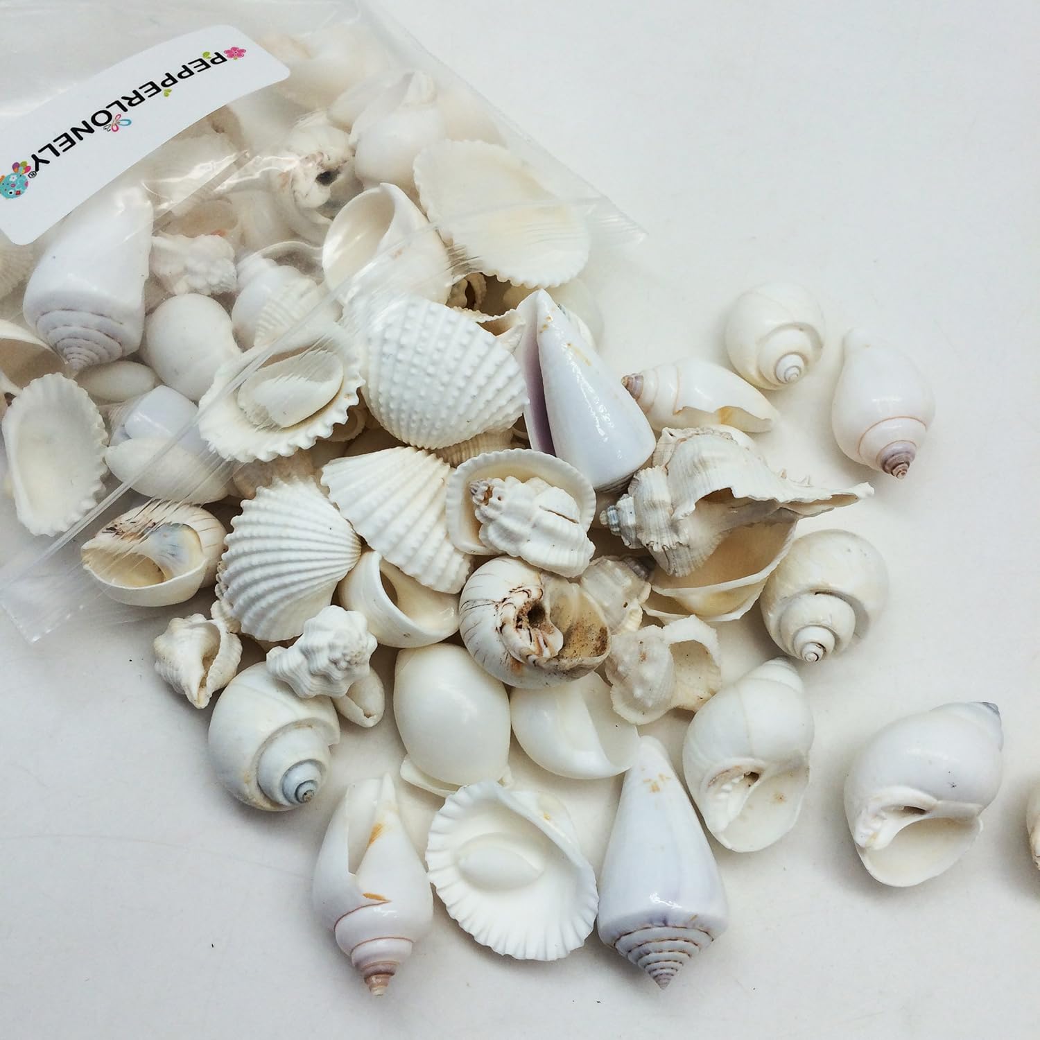 PEPPERLONELY Medium White Shell Mix Sea Shells, 10 OZ Apprx. 70+ PC Shells, 3/4 Inch ~ 1-3/4 Inch
