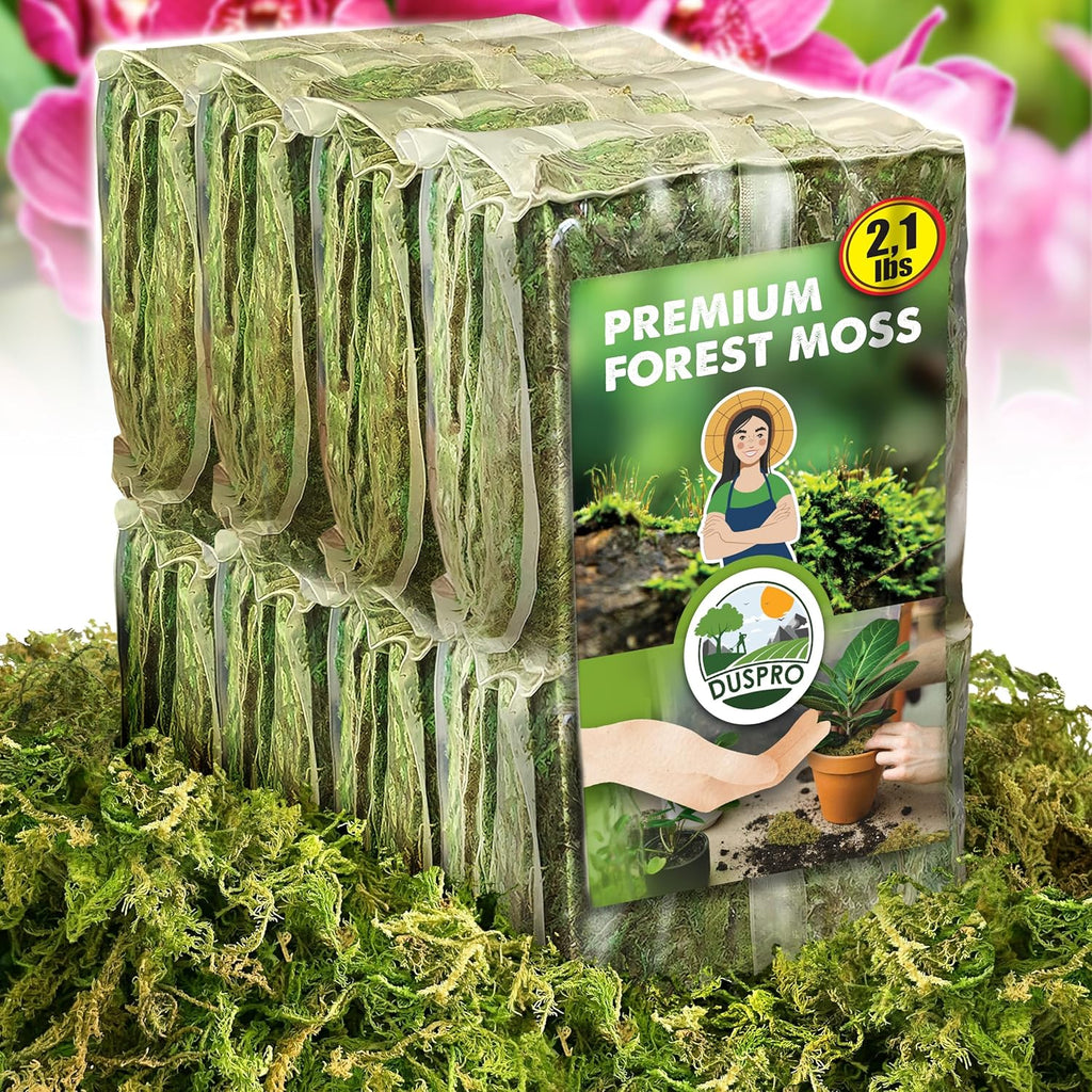 DUSPRO Dried Moss for Potted Plants, Forest Orchid Moss for Potting Mix, Sphagnum Potting Moss for Plants Indoor, Real Moss Soil Cover for Houseplant (2.1 LBS)