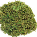 10OZ Fake Moss Artificial Moss for Potted Plants Greenery MossHome Decor Fairy Garden Crafts Wedding Decoration (Fresh Green)