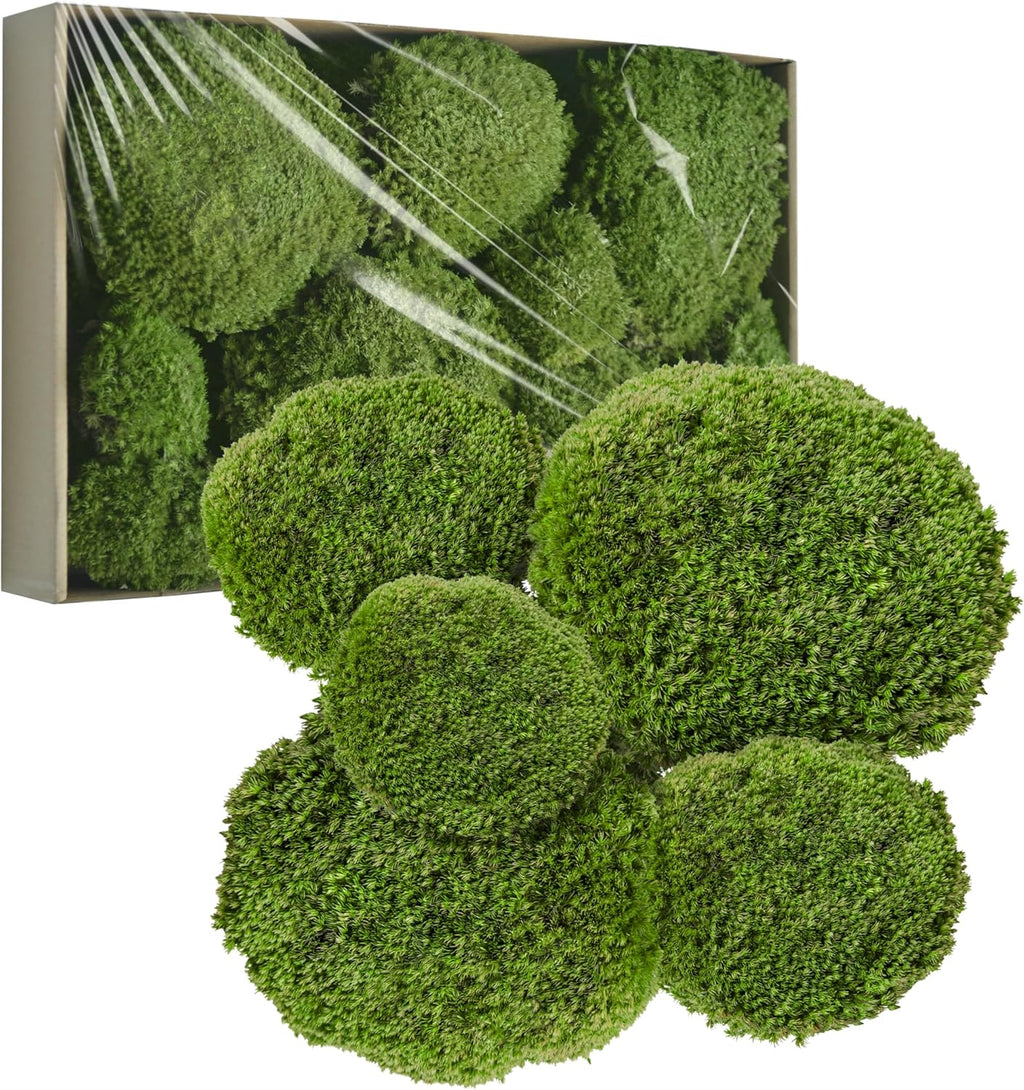 TurelinnG Preserved Moss Decor - Real Forest Moss, Moss for Crafts, Flexible for DIY Crafts, Home, Wall, Terrarium, Art Projects(Natural Green 2 sq.ft)