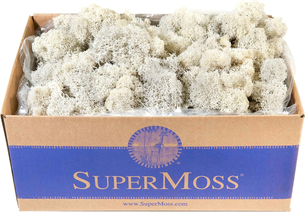 SuperMoss (23197) Reindeer Moss – Soft Preserved Moss for Home Decor, Crafts, Terrariums, Floral Design, and Wedding Decorations, 1,564 cu in, White