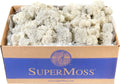 SuperMoss (23197) Reindeer Moss – Soft Preserved Moss for Home Decor, Crafts, Terrariums, Floral Design, and Wedding Decorations, 1,564 cu in, White
