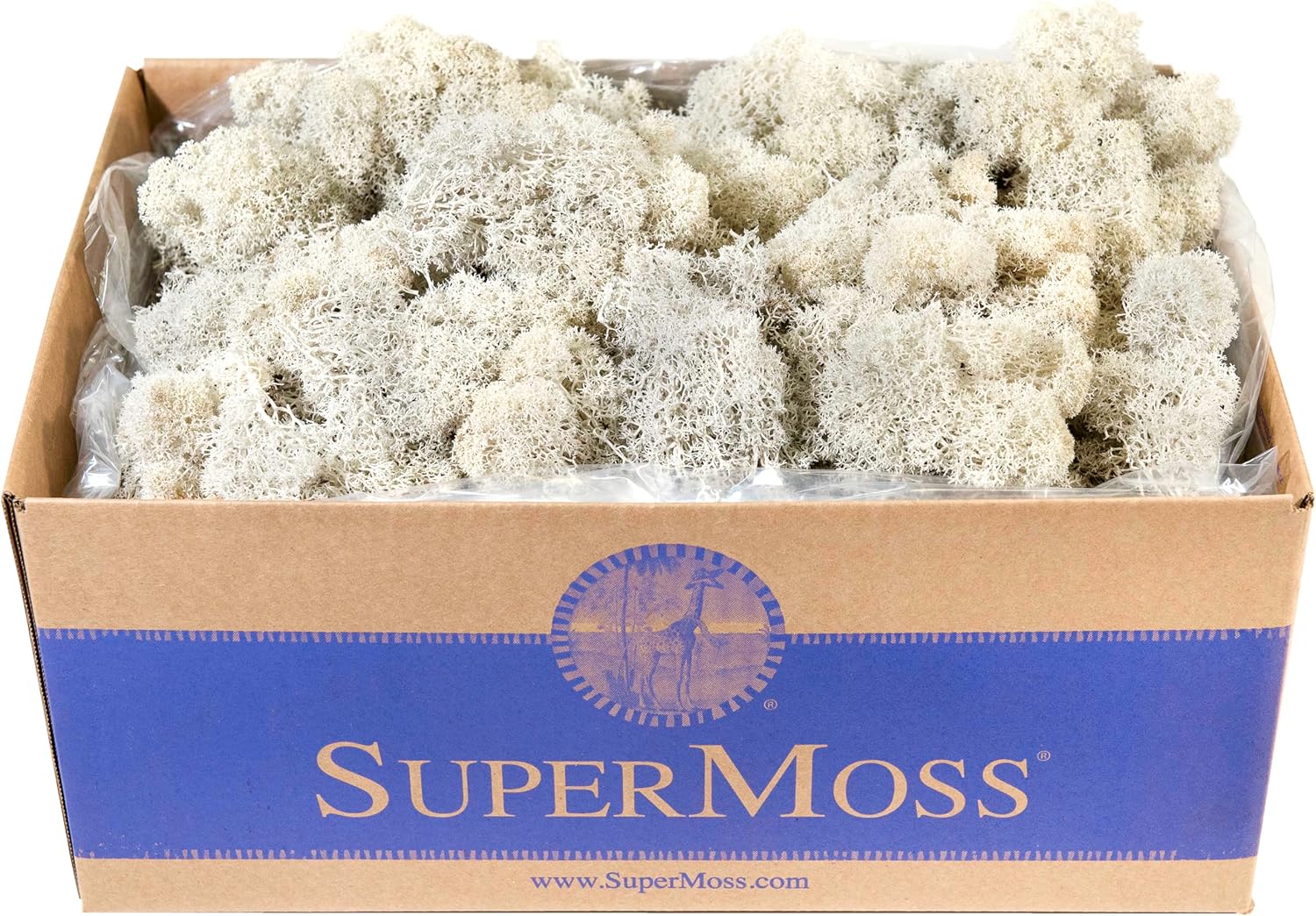 SuperMoss (23197) Reindeer Moss – Soft Preserved Moss for Home Decor, Crafts, Terrariums, Floral Design, and Wedding Decorations, 1,564 cu in, White