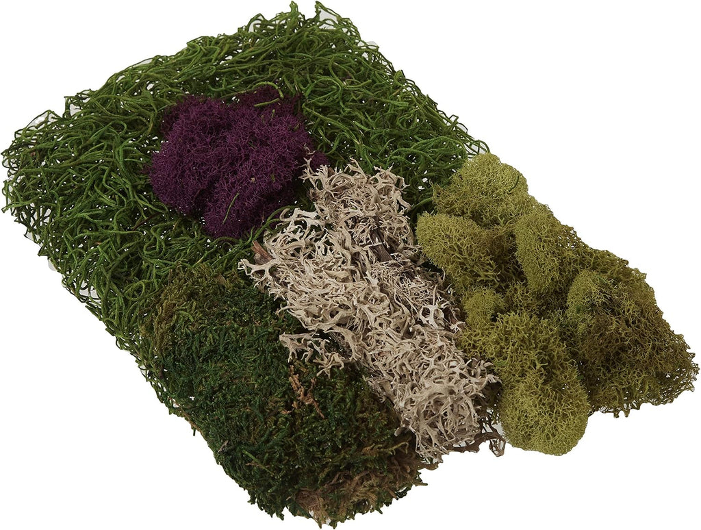 SuperMoss (23310) Moss Mix - Best Sellers, 80.75 Cubic Inch Bag (Appx. 2 Ounce)