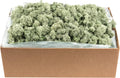 SuperMoss (21792) Reindeer Moss – Soft Preserved Moss for Home Decor, Crafts, Terrariums, Floral Design, and Wedding Decorations, 2,588 cu in, Green