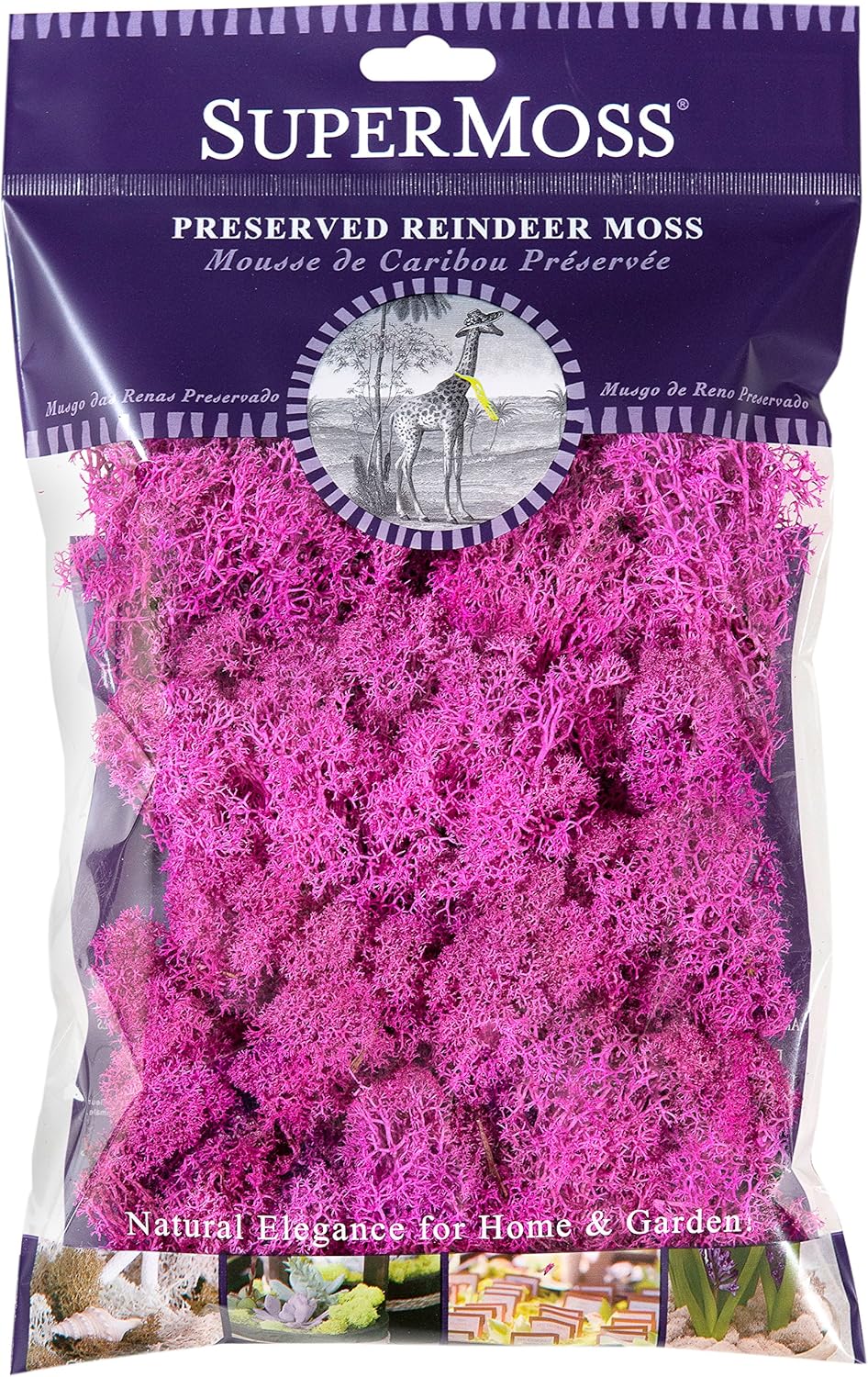 SuperMoss (23198) Reindeer Moss Preserved Bag, 2oz, Pink