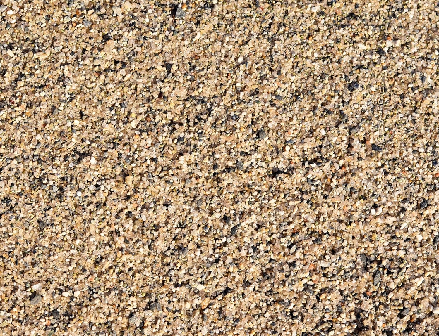 5 Pounds of Sand