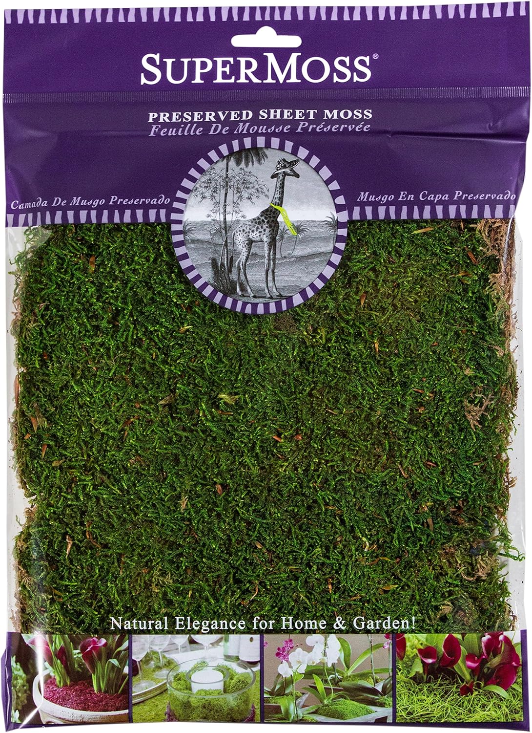 SuperMoss (21509) Sheet Moss Preserved, Fresh Green, 2oz