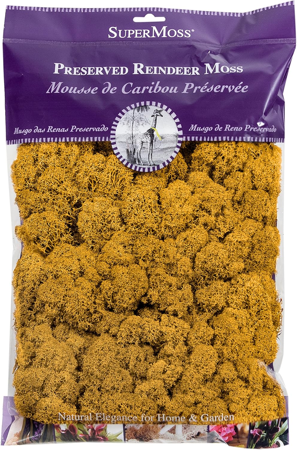 SuperMoss (23153) Reindeer Moss Preserved, Mango, 8oz