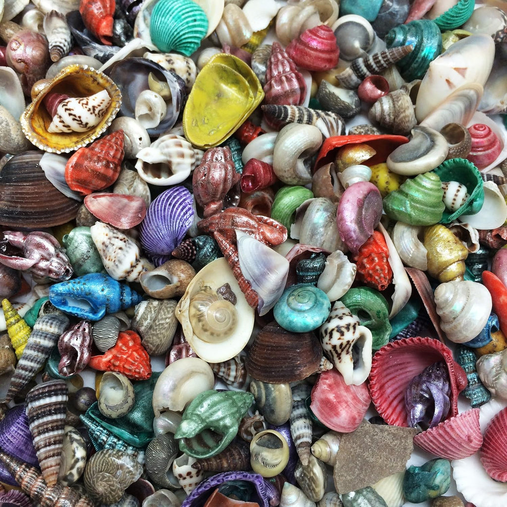 PEPPERLONELY Extra Small Dyed/Natural Mix Seashells, Very Small & Clean, 8 OZ Apprx. 1/4 Inch ~ 1/2 Inch