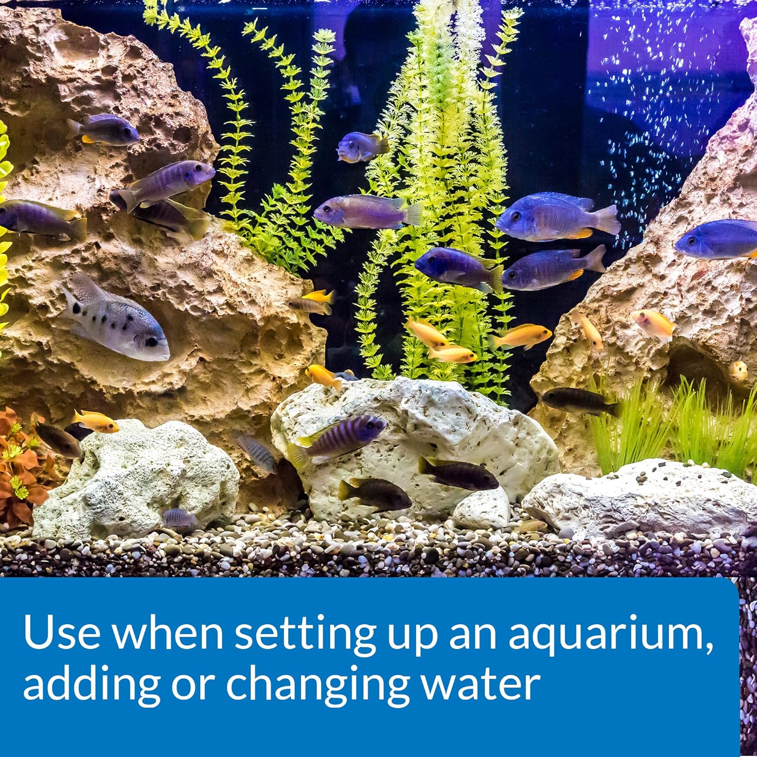 API ACCU-CLEAR Freshwater Aquarium Water Clarifier and API TAP WATER CONDITIONER Aquarium Water Conditioner