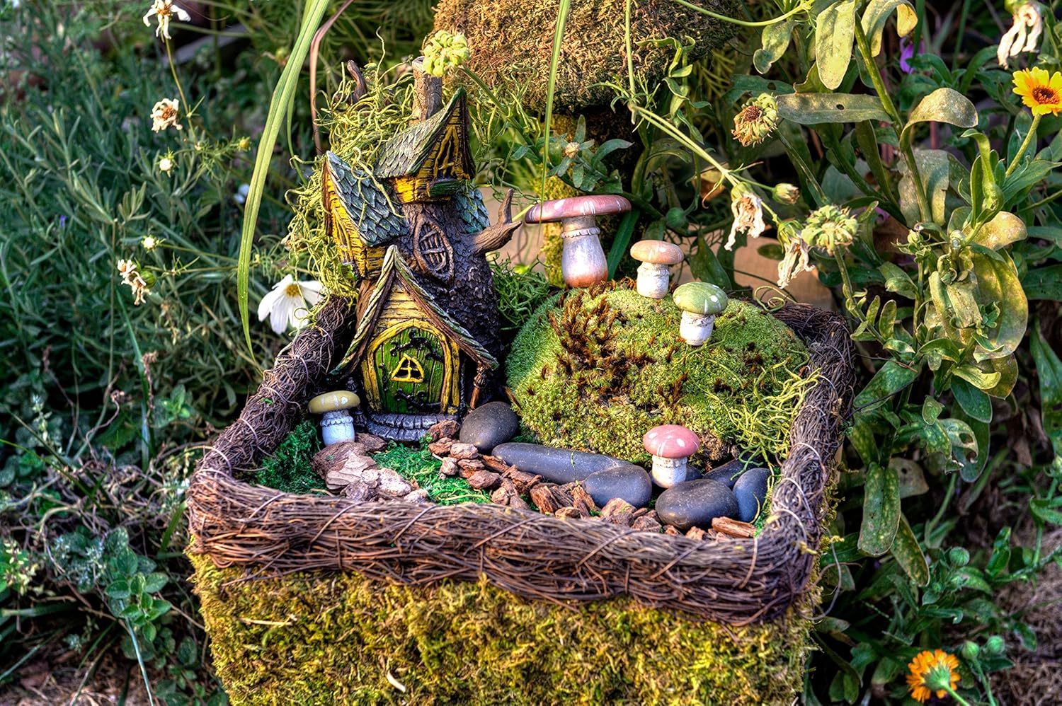 SuperMoss (50310) Fairy Garden Kit, Mixed Mosses, 4 oz., Multicolor
