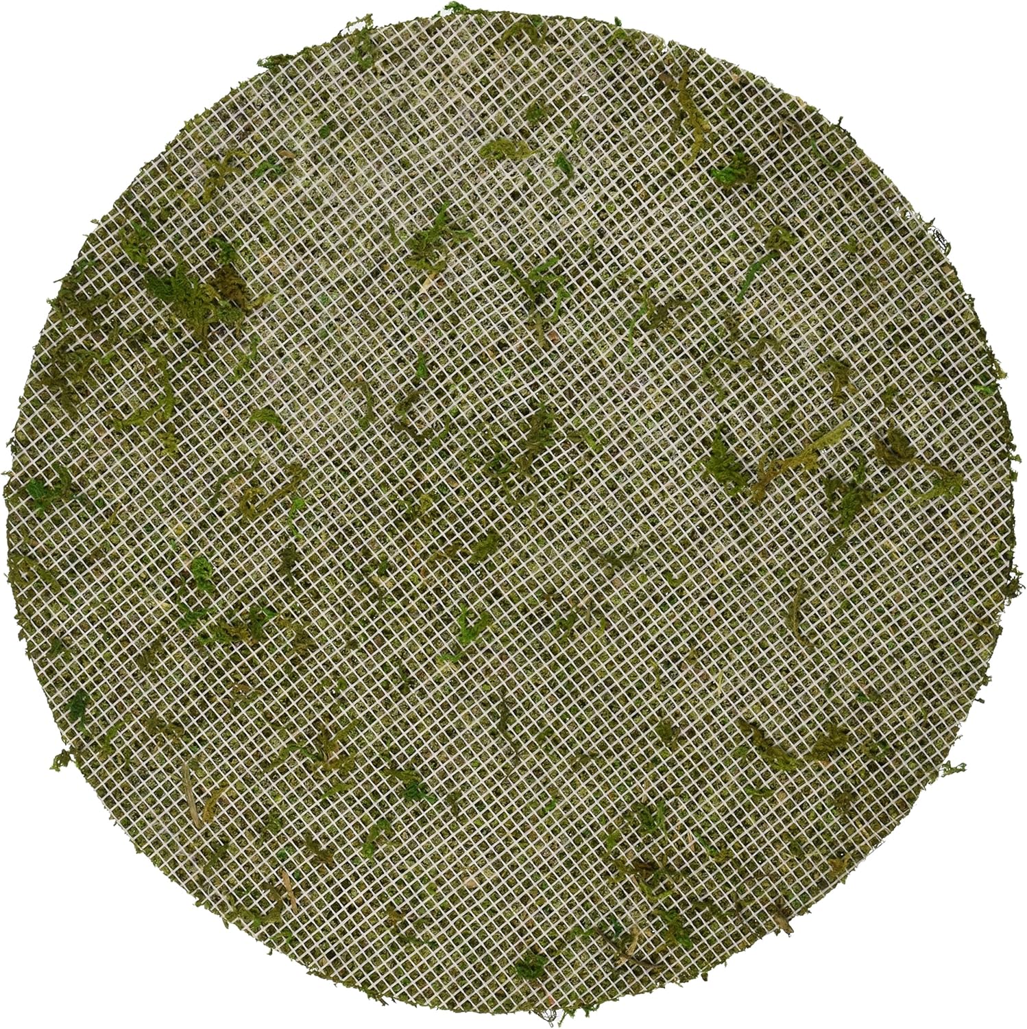 SuperMoss (26300) Moss Soil Toppers, Fresh Green, 6" (3 Units)