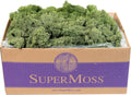 SuperMoss (25155) Reindeer Moss Preserved, Basil, 3 Pounds