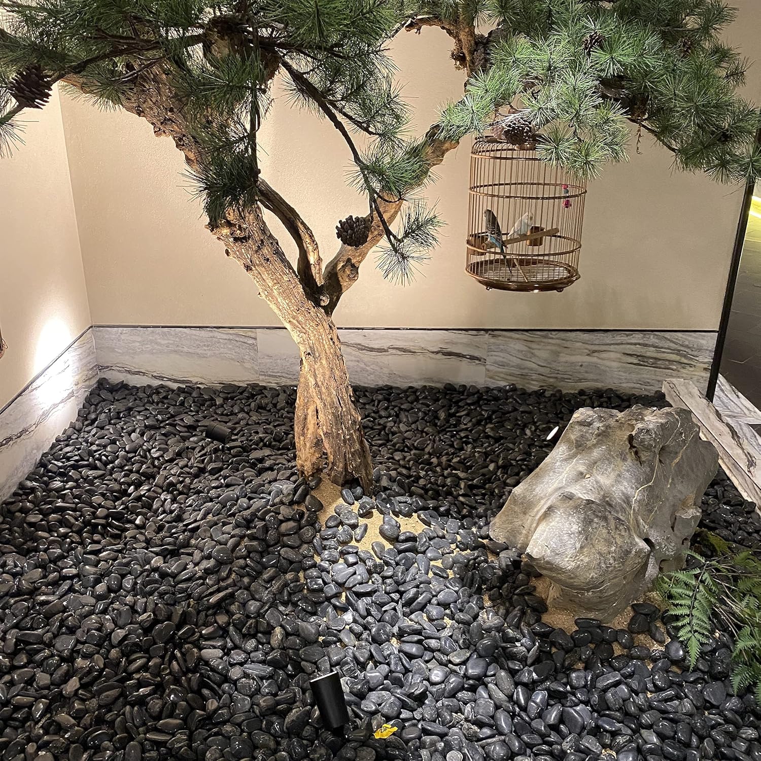 2 lbs Black Pebbles for Indoor Plants, 1-2 Inch Small Bag Black Stones. Decorative River Rocks for Plants, Landscaping, Vase Fillers and Outdoor Garden