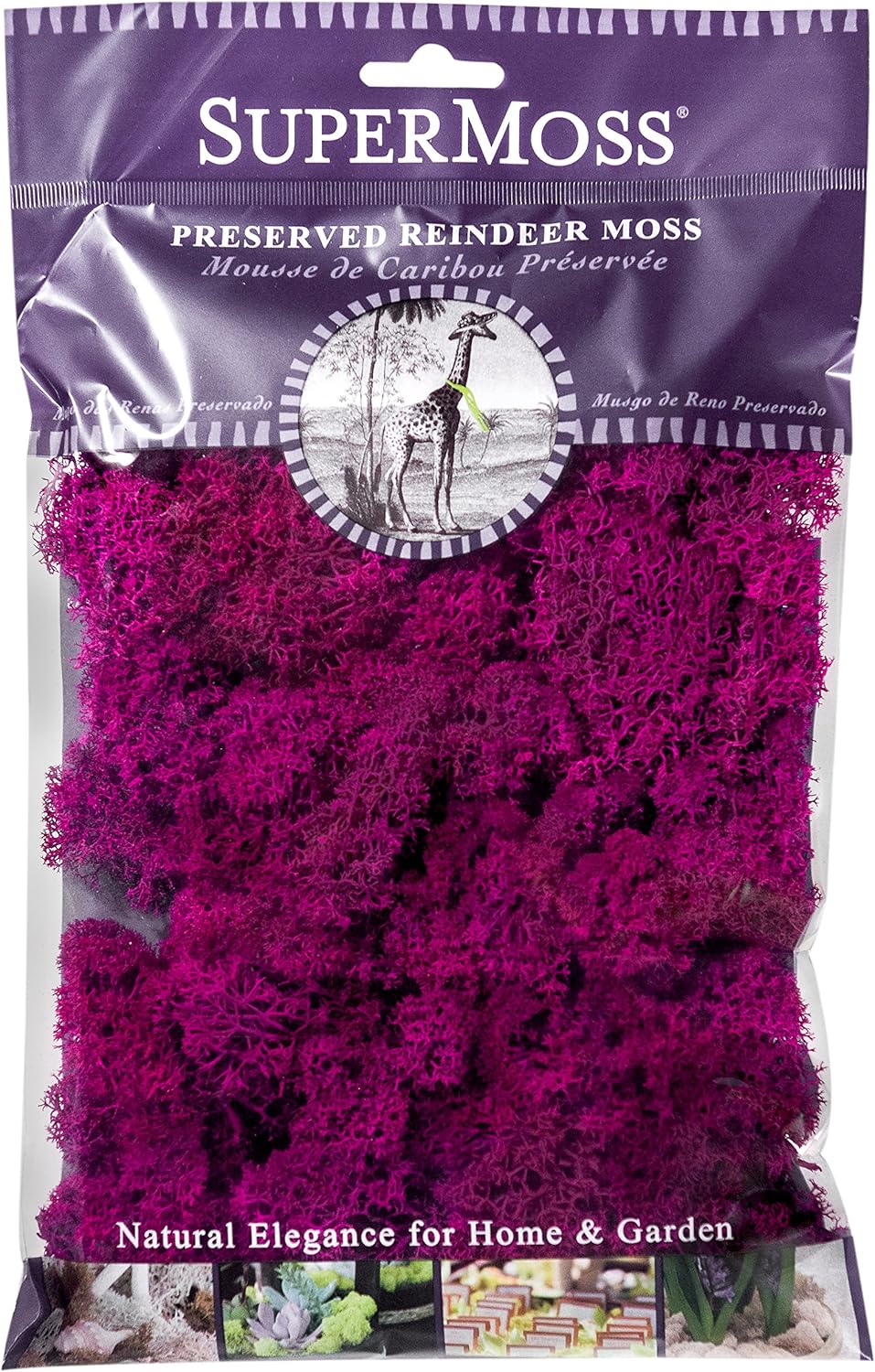 Super Moss (23164) Reindeer Moss Preserved, Fuchsia, 2oz
