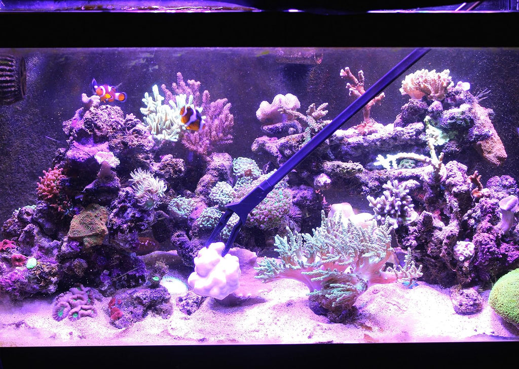 Aquarium Tongs 27 inch (70 cm), 100% Reef Safe, Multi Purpose for Fresh and Saltwater Fish Tanks, Clip Plants, Spot Feed Fish and Coral, Keep Hands Dry