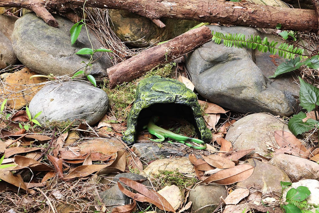 Reptile Cave Climb Hideout Hideaway – Stone Cave Shelter Hiding, Decorative Resin for Aquariums & Terrariums. Ideal for Amphibians,Lizards,Snakes,Bearded Dragons,Geckos,Scorpions,Frogs... Large Size