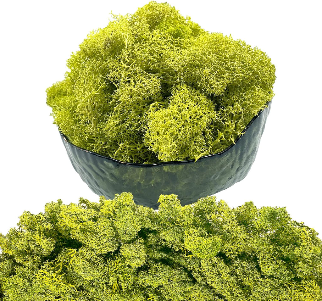 Moss Preserved Artificial Moss - 8.8 oz Natural Fresh Green for Craft, Arts, Floral Projects, Wall & Table Decor, Wedding Centerpieces, Garden Terrariums - Lemon Yellow
