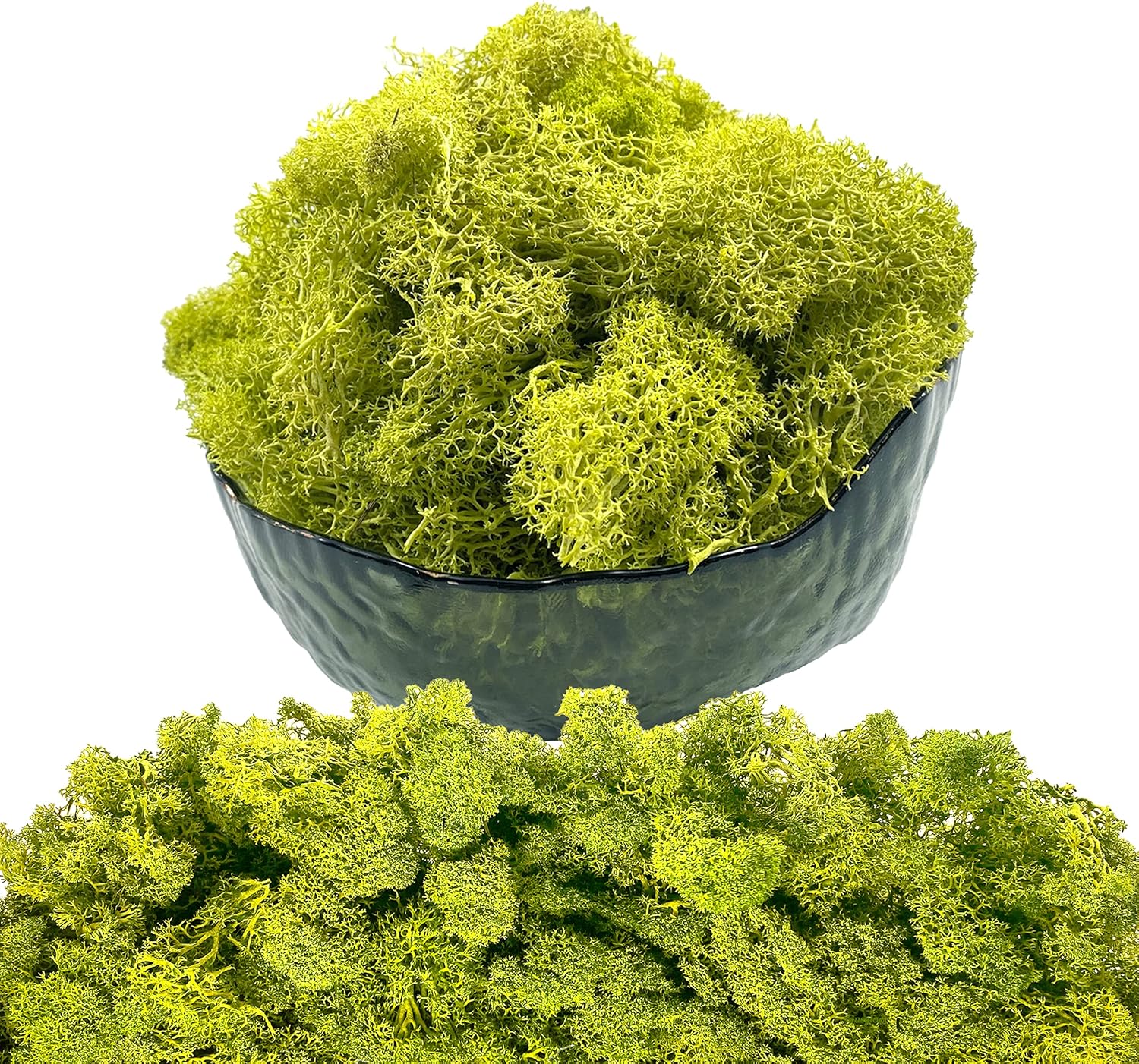 Moss Preserved Artificial Moss - 8.8 oz Natural Fresh Green for Craft, Arts, Floral Projects, Wall & Table Decor, Wedding Centerpieces, Garden Terrariums - Lemon Yellow