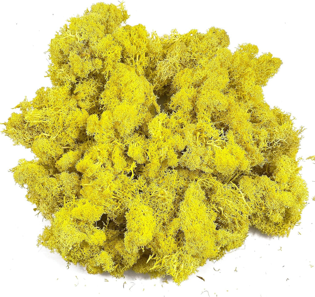 Moss Preserved Moss for Potted Plants Natural Fresh Green Reindeer Moss for Craft Arts Floral Wall Decor Decor Wedding Centerpieces Garden Artificial Terrariums Decoration for Christmas(Yellow) 3.52OZ