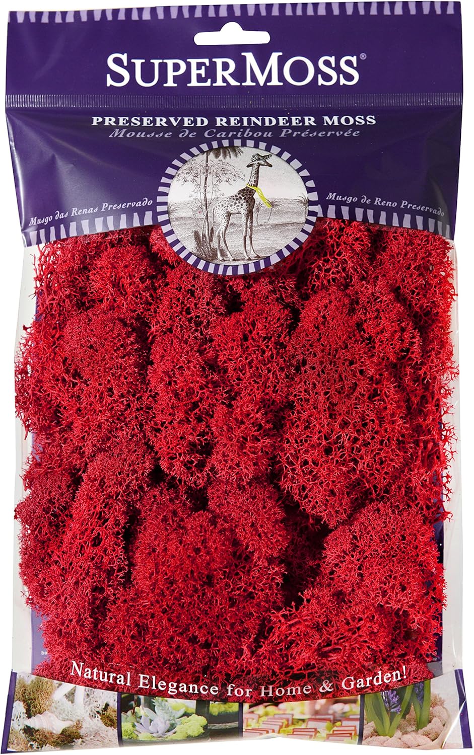 Super Moss (25122) Reindeer Moss Preserved, Red, 2oz