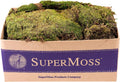 SuperMoss (21537) Mood Moss – Natural Moss for Home Decor, Terrariums, Floral Arrangements, and Craft Projects, 1,564 cu in, Dried