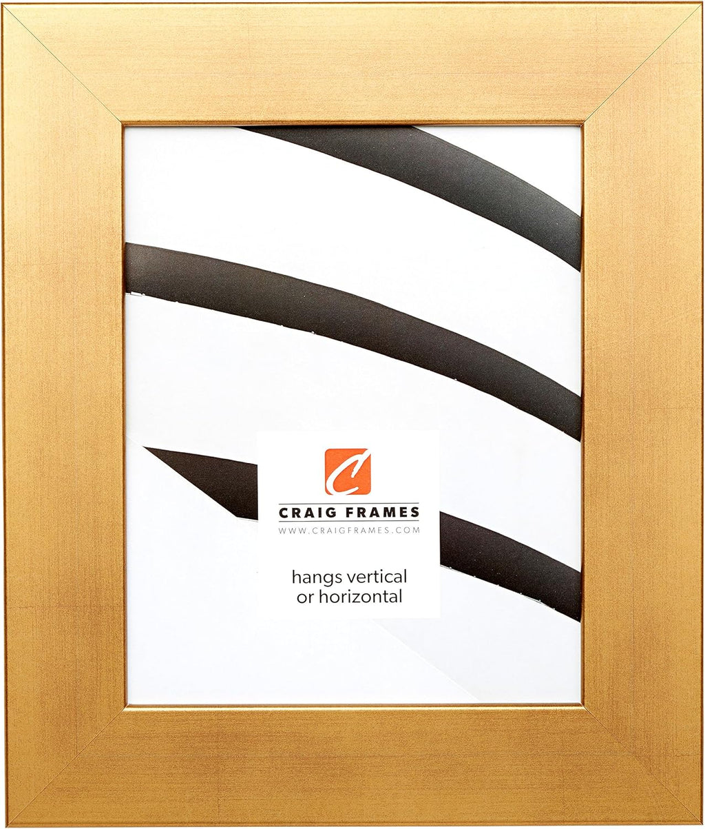 Craig Frames 74066 10 by 13-Inch Picture Frame, Smooth Distressed Finish, 2-Inch Wide, Antique Gold
