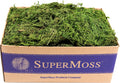 SuperMoss (25325) Forest Moss Preserved, Fresh Green, 3 Pounds