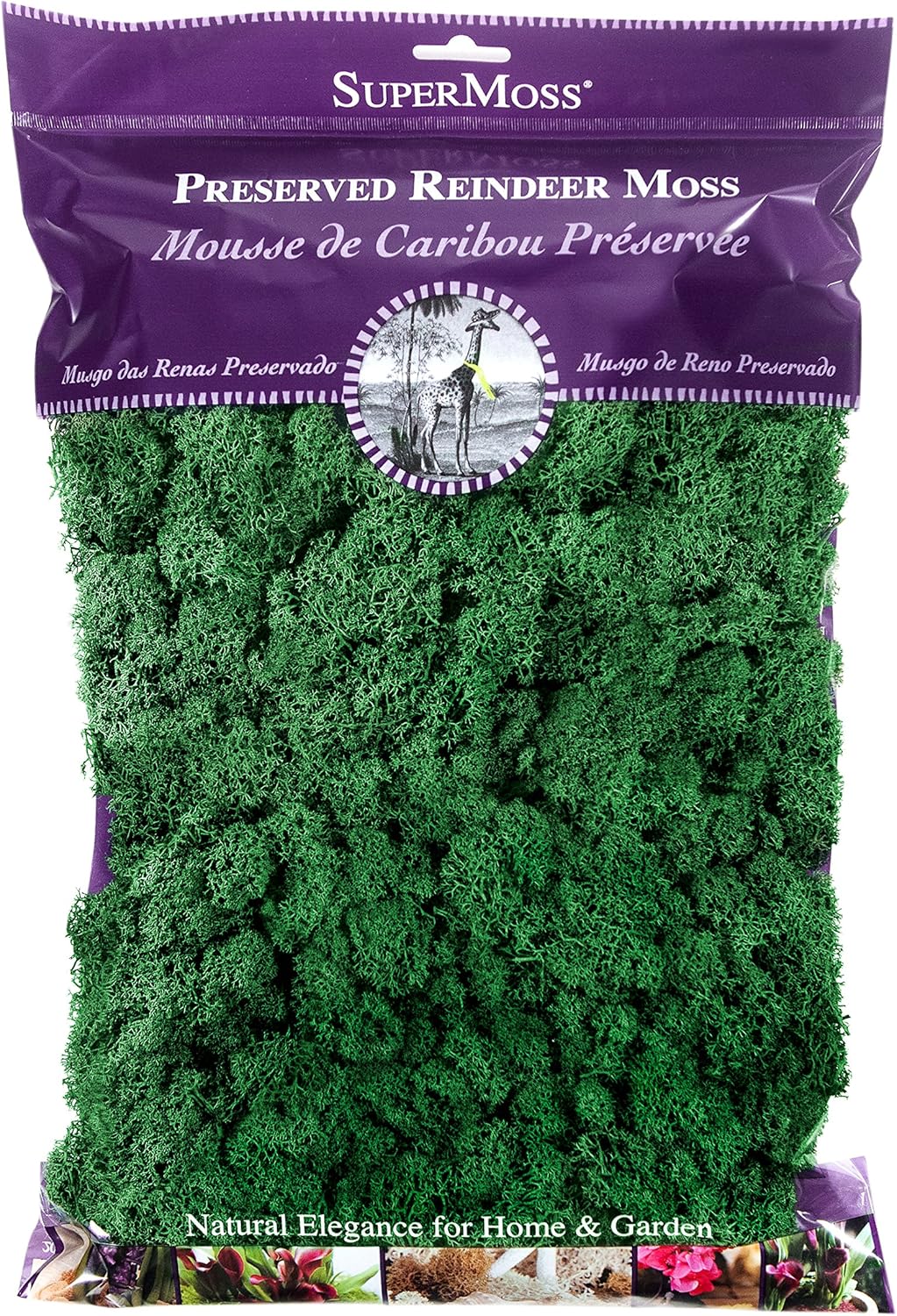 SuperMoss (21757) Reindeer Moss Preserved, Forest, 8oz (200 cubic inch)