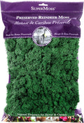 SuperMoss (21757) Reindeer Moss Preserved, Forest, 8oz (200 cubic inch)