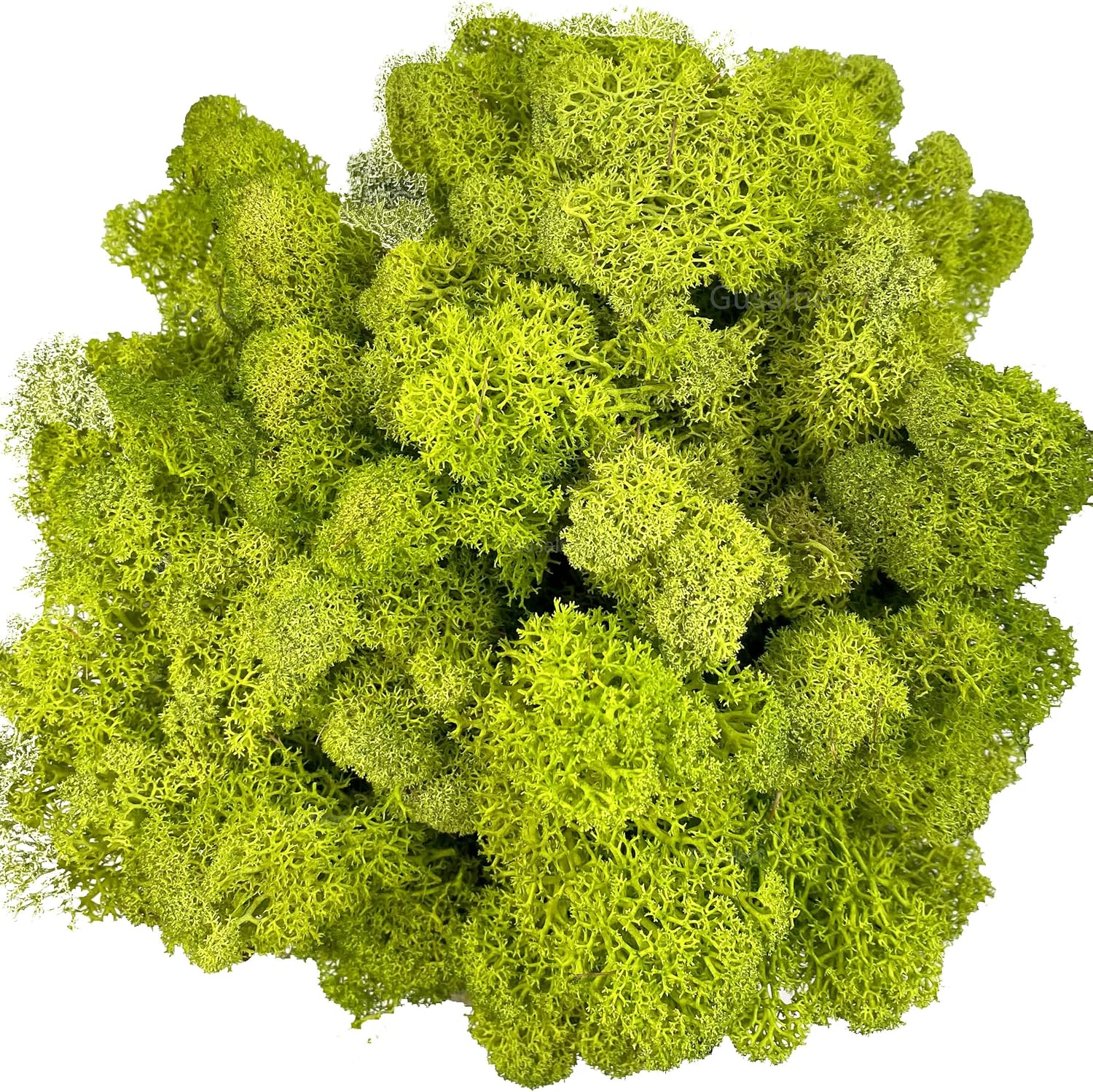Moss Preserved Artificial Moss for Potted Plants Natural Fresh Green Moss for Craft Arts Project Wall Decor Table Fake Moss Wedding Centerpieces Garden Terrariums Decoration Chartreuse 3.5OZ