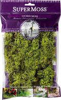 SuperMoss (23536 Branched Lichen Parmelia – Natural Preserved Lichen Branches for Floral Arrangements, Home Decor, and Terrariums, 175 cu. in., Chartreuse