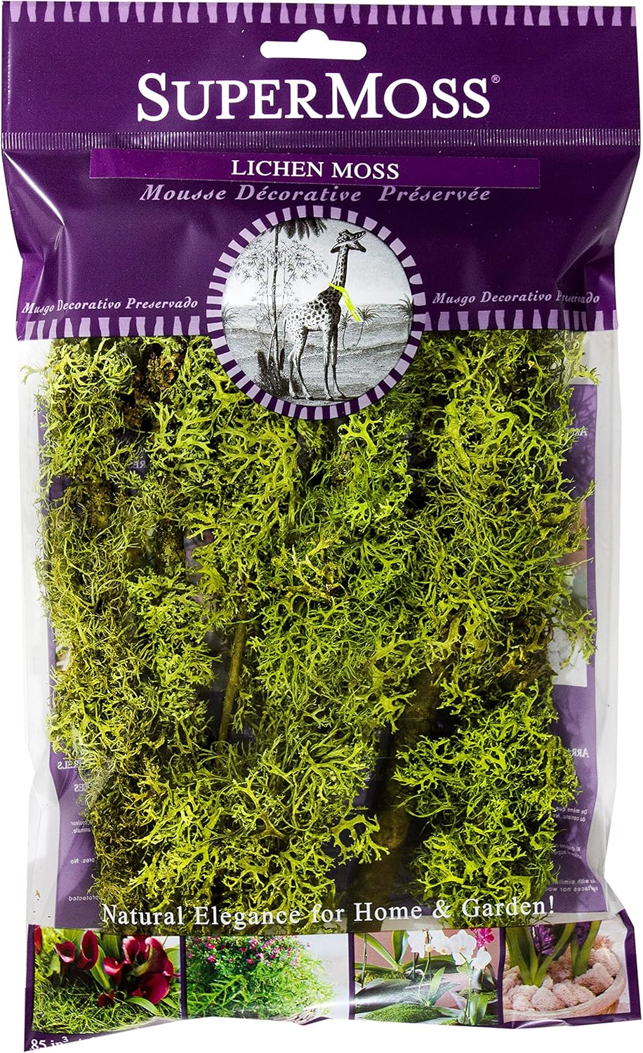 SuperMoss (23536 Branched Lichen Parmelia – Natural Preserved Lichen Branches for Floral Arrangements, Home Decor, and Terrariums, 175 cu. in., Chartreuse