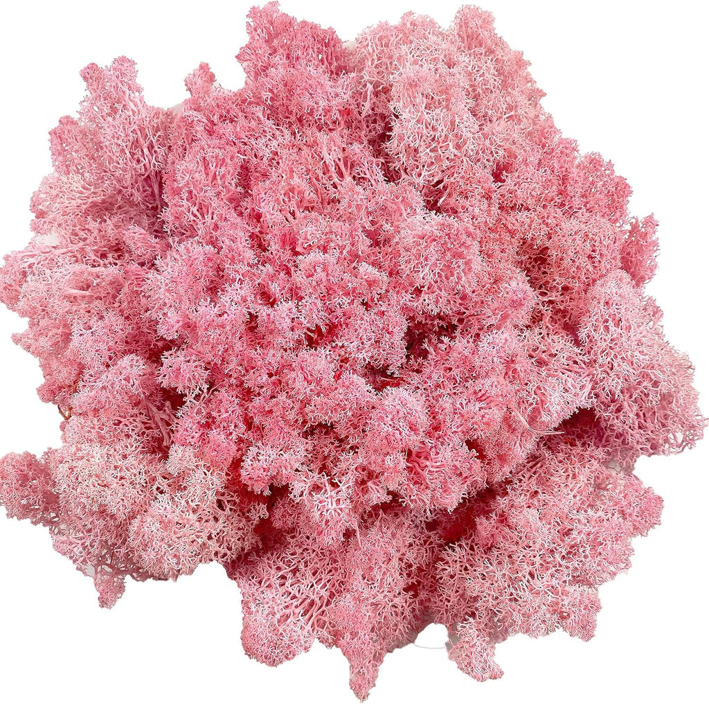 Moss Preserved Moss for Potted Plants Natural Fresh Green Reindeer Moss for Craft Arts Floral Wall Decor Decor Wedding Centerpieces Garden Artificial Terrariums Decoration for Christmas-Light Pink