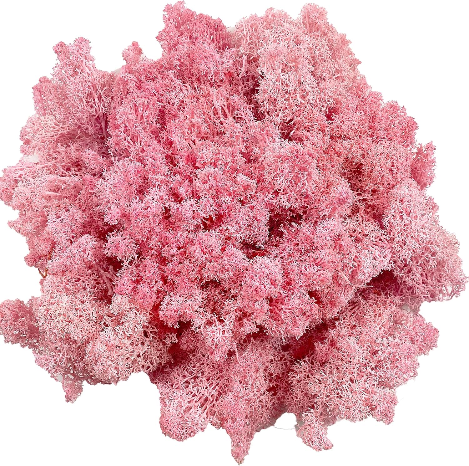 Moss Preserved Moss for Potted Plants Natural Fresh Green Reindeer Moss for Craft Arts Floral Wall Decor Decor Wedding Centerpieces Garden Artificial Terrariums Decoration for Christmas-Light Pink