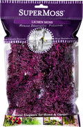 SuperMoss (23535 Branched Lichen Parmelia – Natural Preserved Lichen Branches for Floral Arrangements, Home Decor, and Terrariums, 175 cu. in., Burgundy