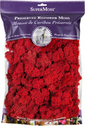 SuperMoss (23149) Reindeer Moss Preserved, Red, 8oz