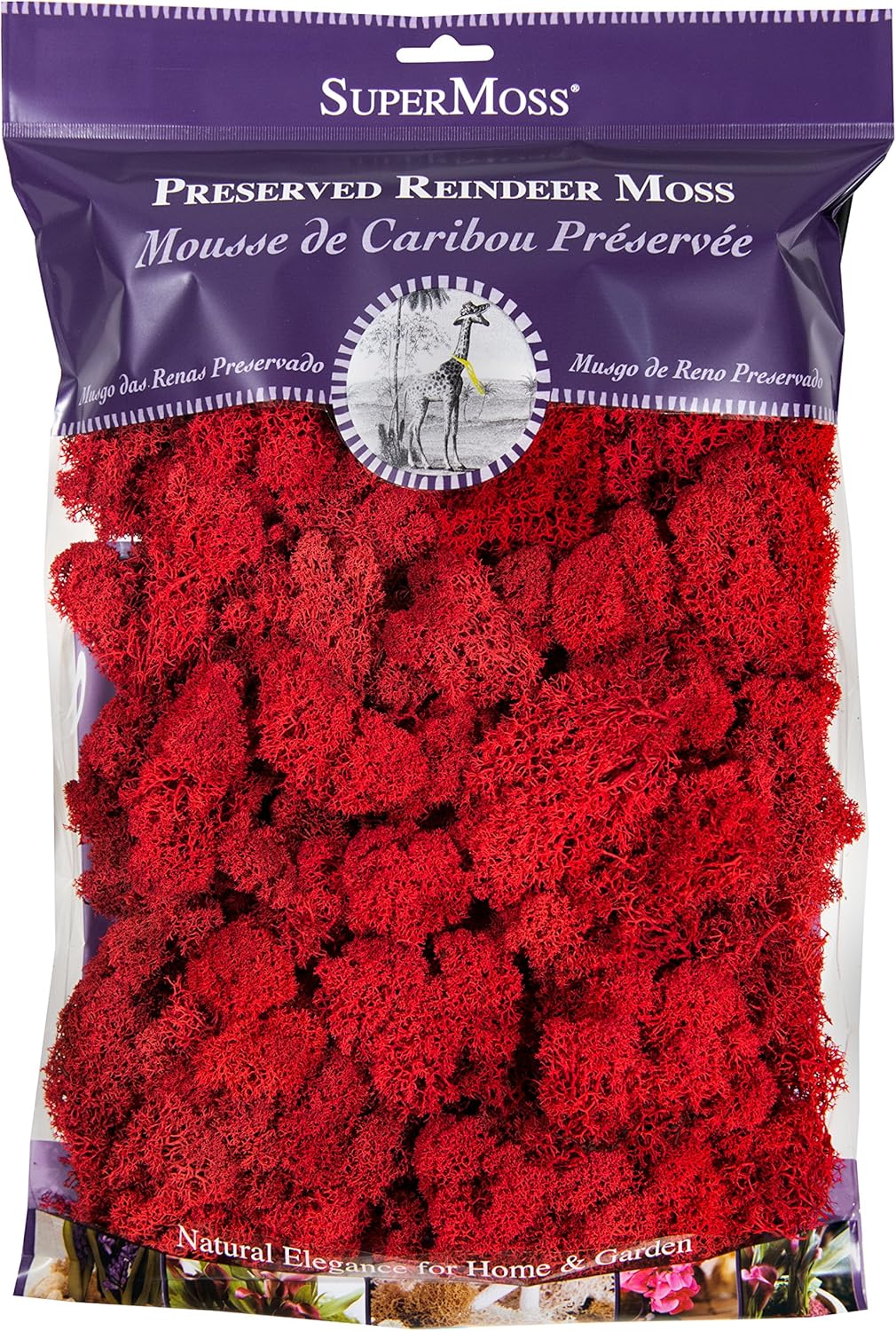 SuperMoss (23149) Reindeer Moss Preserved, Red, 8oz