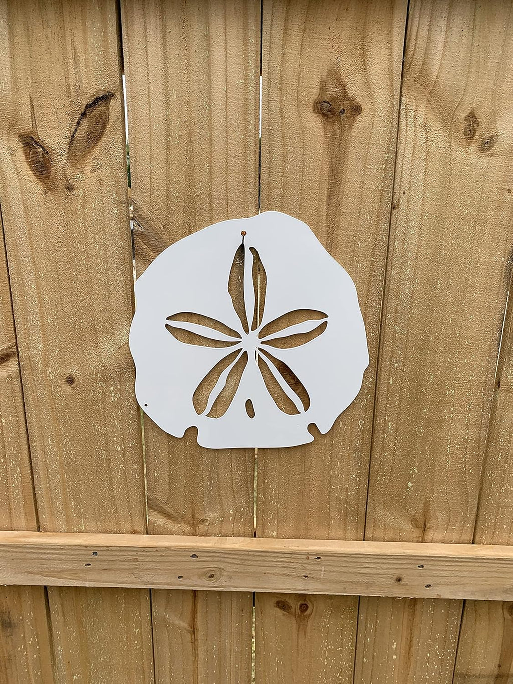 Riverside Designs Coastal Sand Dollar Ocean Beach Metal Art Steel Wall Decor (12", White)