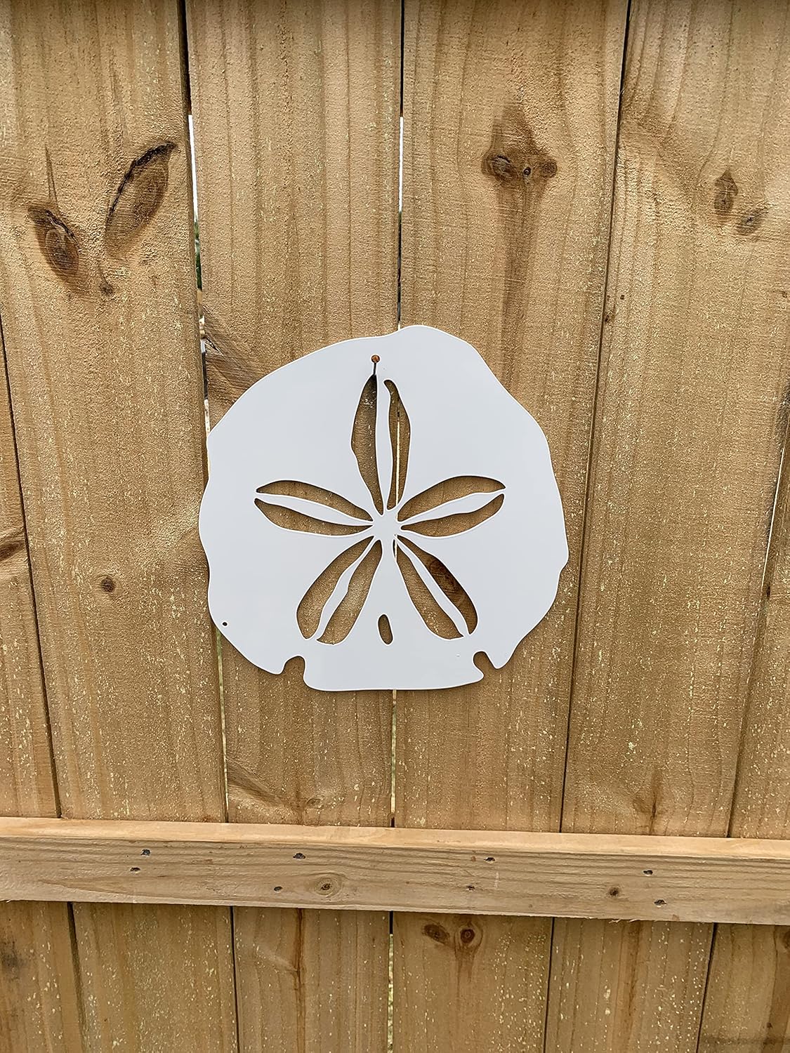 Riverside Designs Coastal Sand Dollar Ocean Beach Metal Art Steel Wall Decor (12", White)