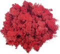 Moss Preserved Moss for Potted Plants Natural Fresh Green Reindeer Moss for Craft Arts Floral Wall Decor Decor Wedding Centerpieces Garden Artificial Terrariums Decoration for Christmas - Red 3.52OZ
