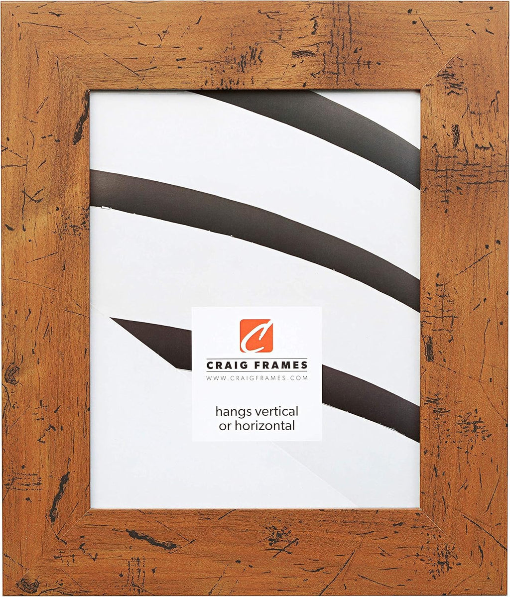 Craig Frames Bauhaus 200, Modern Rustic Light Walnut Picture Frame, 12 by 36-Inch