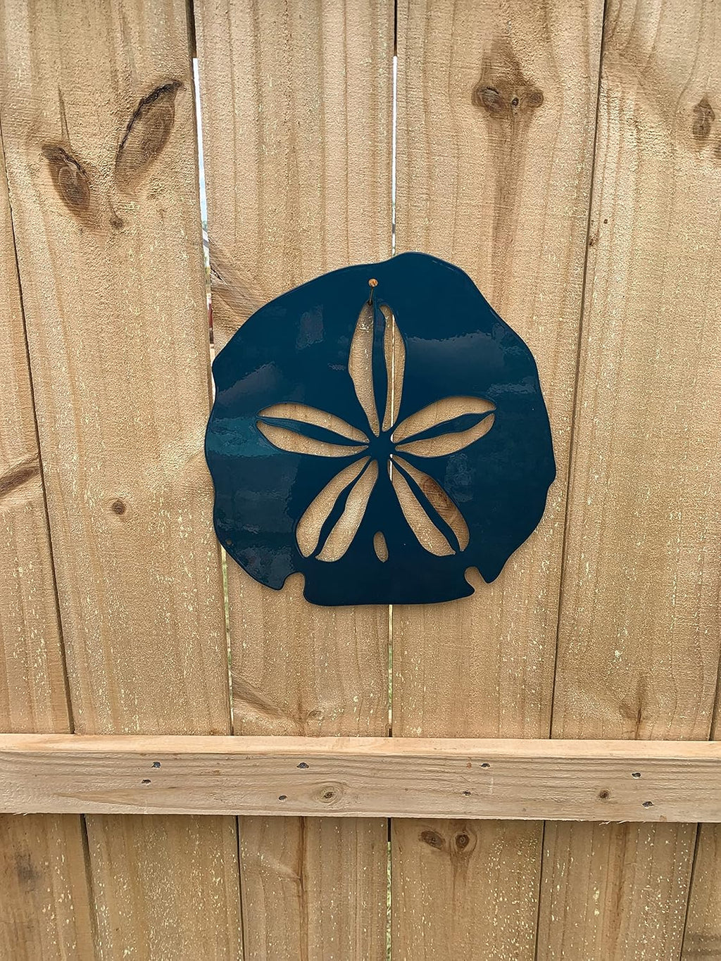 Riverside Designs Coastal Sand Dollar Ocean Beach Metal Art Steel Wall Decor (12", Teal)