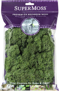 SuperMoss (23080) Reindeer Moss Preserved, Basil, 2 Ounces