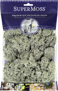 SuperMoss Super Moss (25116 Reindeer Moss Preserved, Moss Green, 2oz