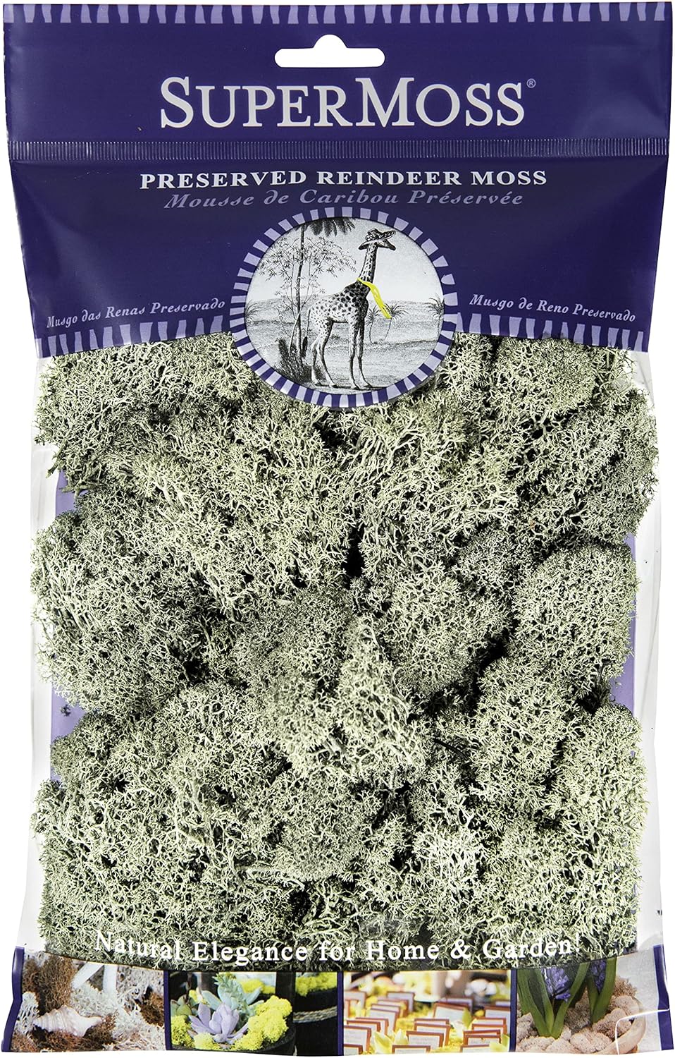 SuperMoss Super Moss (25116 Reindeer Moss Preserved, Moss Green, 2oz