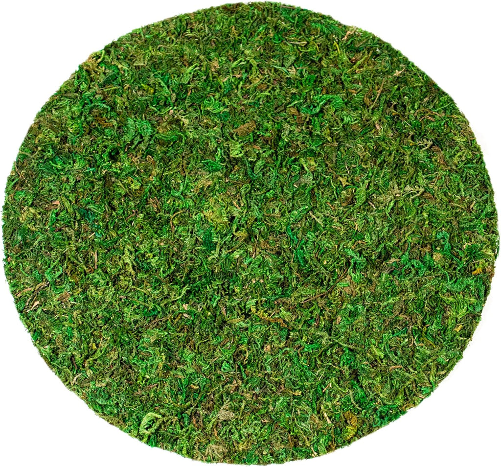 SuperMoss (26310) Moss Soil Toppers (Place Mats), Fresh Green, 10" (3 units)