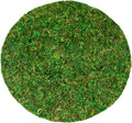 SuperMoss (26310) Moss Soil Toppers (Place Mats), Fresh Green, 10" (3 units)